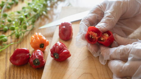  Uno de los mejores métodos es proteger tus manos con guantes de cocina al manipular el chile.   