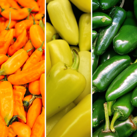 Ají amarillo peruano y ajíes mexicanos: chile güero y jalapeños.   