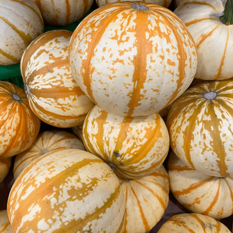 La calabaza tigre se puede usar tanto para decoración como para recetas.   