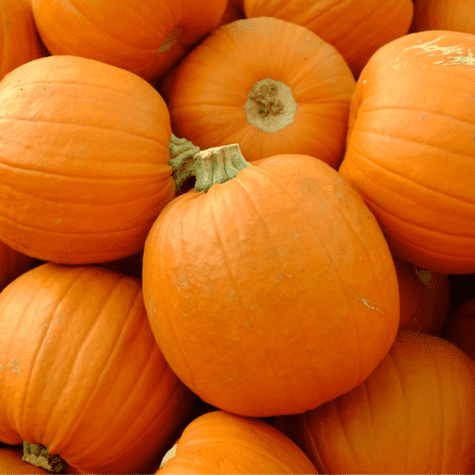 La calabaza norteamericana, símbolo de la festividad de Halloween.   