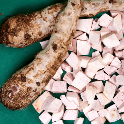 La "pituca" es cultivada en diferentes comunidades de la selva peruana.   