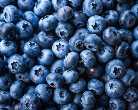 Los arándanos son las frutas más consumidas en el mercado chino.   