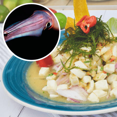 El calamar de Humboldt en un calamar gigante que se usa en el popular ceviche de pota.   