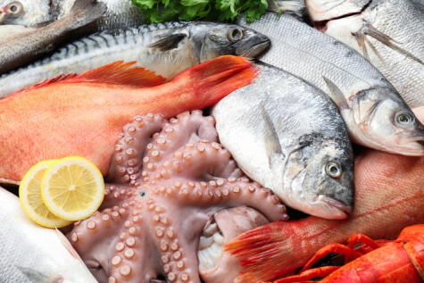 La ingesta de peces con mercurio causas daños cerebrales. La ingesta de peces con mercurio causas daños cerebrales.