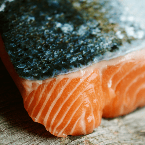 Salmón: una fuente rica en Omega-3 y proteínas para tu salud. Salmón: una fuente rica en Omega-3 y proteínas para tu salud.