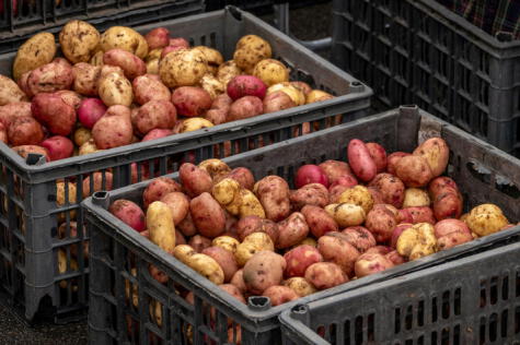 Asimismo, el abastecimiento de frutas y verduras en los mercados de Lima alcanzó las 9,038 toneladas. Asimismo, el abastecimiento de frutas y verduras en los mercados de Lima alcanzó las 9,038 toneladas.