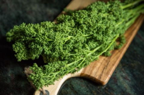 El huauzontle, conocido como "cabello del bledo", es una planta mexicana con propiedades nutricionales destacadas. El huauzontle, conocido como "cabello del bledo", es una planta mexicana con propiedades nutricionales destacadas.