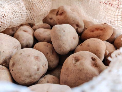 Su contenido de almidón brinda energía constante y está bajo en grasa, siendo una excelente opción alimenticia.   