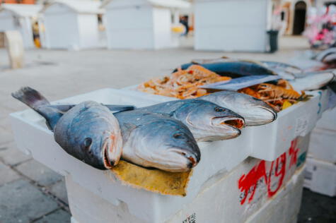 El consumo de pescado azul aporta beneficios significativos para la salud, como la reducción del colesterol. El consumo de pescado azul aporta beneficios significativos para la salud, como la reducción del colesterol.
