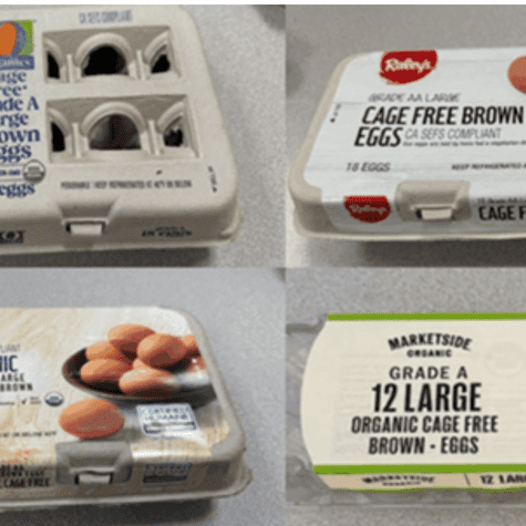 La empresa August Egg Company ordenó el retiro de huevos contaminados por Salmonella. La empresa August Egg Company ordenó el retiro de huevos contaminados por Salmonella.