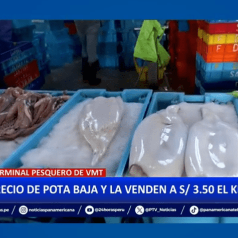 El kilo de la pota disminuye. Foto: Panamericana televisión El kilo de la pota disminuye. Foto: Panamericana televisión