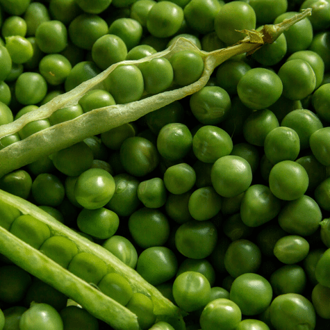 Congelar arvejas permite preservar sus beneficios nutricionales por más tiempo, según expertos. Congelar arvejas permite preservar sus beneficios nutricionales por más tiempo, según expertos.