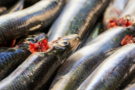 Se ordena el retiro inmediato de 81 cajas de "Salted Smoked Split Herring" en Nueva York, Nueva Jersey y Connecticut. Se ordena el retiro inmediato de 81 cajas de "Salted Smoked Split Herring" en Nueva York, Nueva Jersey y Connecticut.