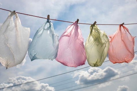 Para reutilizar las bolsas, lo mejor es lavarlas y secarlas muy bien. Para reutilizar las bolsas, lo mejor es lavarlas y secarlas muy bien.