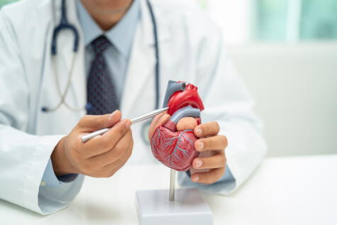 Favorece la salud del corazón. Favorece la salud del corazón.