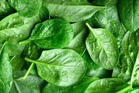 Espinaca.   
