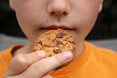 El consumo de galletas puede provocar deficiencias en micronutrientes. El consumo de galletas puede provocar deficiencias en micronutrientes.