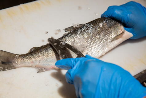 Recuerda cocinar y luego sazonar para tener un mejor sabor y textura del pescado. Recuerda cocinar y luego sazonar para tener un mejor sabor y textura del pescado.