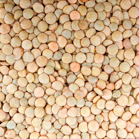 Remojar las lentejas mejora su digestión y reduce los antinutrientes.   