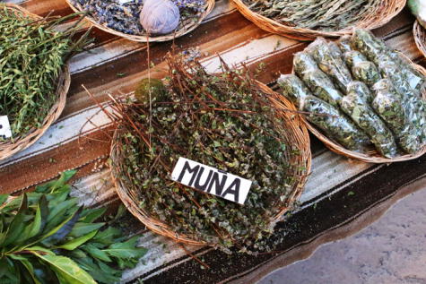 Muña. Muña.
