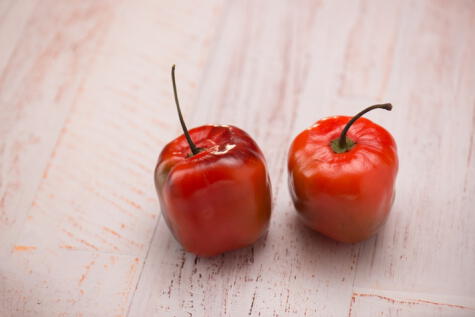 Rocoto peruano.   