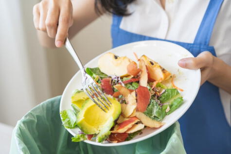 La cáscara de palta es útil como fertilizante natural. La cáscara de palta es útil como fertilizante natural.