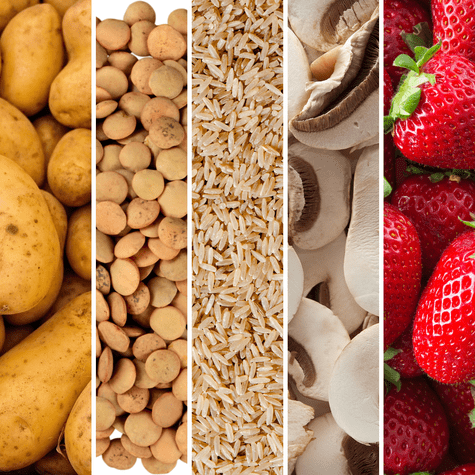 Incluir alimentos ricos en litio en la dieta, un posible aliado para cuidar la memoria. Incluir alimentos ricos en litio en la dieta, un posible aliado para cuidar la memoria.