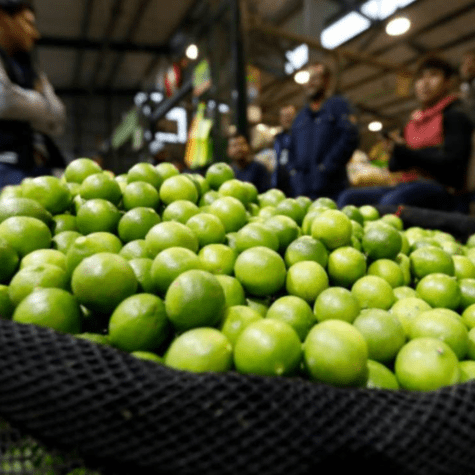 El preció del limón se incrementó casi el doble. El preció del limón se incrementó casi el doble.