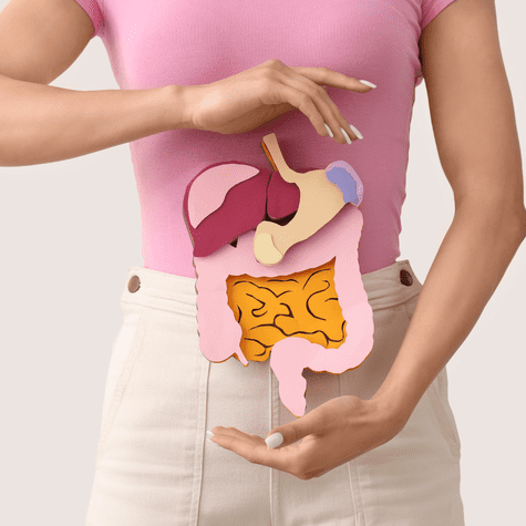 La fibra de la papaya contribuye a regular el tránsito intestinal y prevenir el estreñimiento. La fibra de la papaya contribuye a regular el tránsito intestinal y prevenir el estreñimiento.