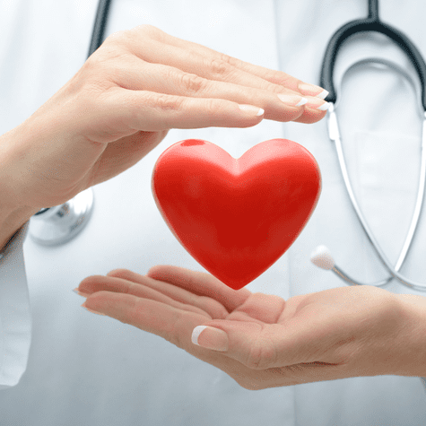 Favorece la salud cardiovascular. Favorece la salud cardiovascular.
