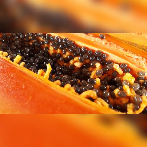 Se recomienda de 5 a 7 semillas de papaya. Se recomienda de 5 a 7 semillas de papaya.