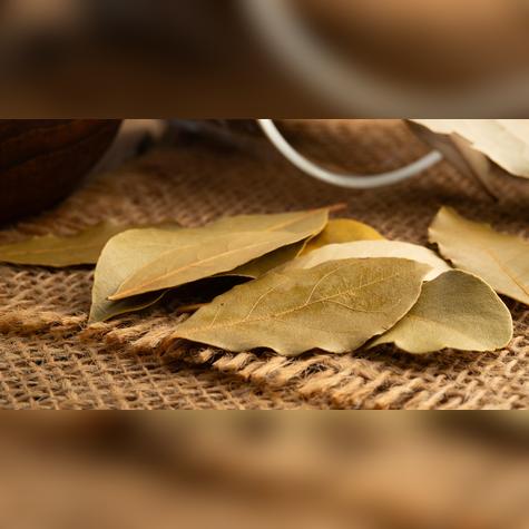 Hojas de laurel.   
