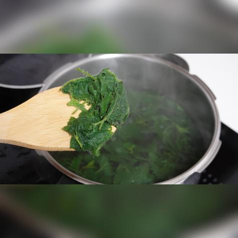 Puedes preparar té de ortiga en las cantidades deseadas. Puedes preparar té de ortiga en las cantidades deseadas.
