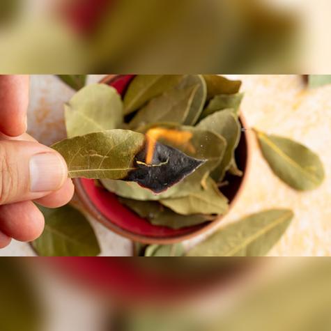 Quemar algunas hojas de laurel aromatiza el ambiente. Quemar algunas hojas de laurel aromatiza el ambiente.