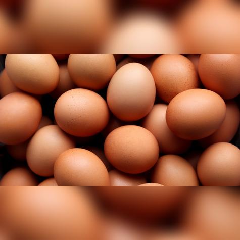 El lugar de almacenamiento del huevo dependerá de la temperatura.   
