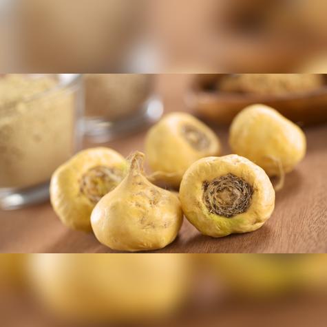 La maca, el superalimento andino que conquistó el mundo por su energía natural. La maca, el superalimento andino que conquistó el mundo por su energía natural.