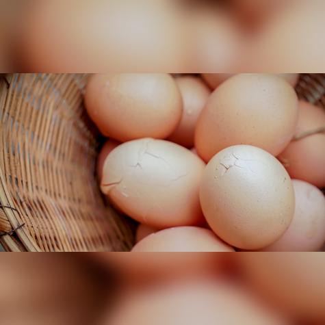 Desecha los huevos rotos. Desecha los huevos rotos.