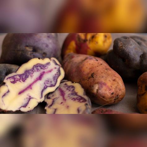 El restaurante "Nuna Raymi" en Cusco, galardonado con el Premio de Sostenibilidad, ofrece 480 tipos de papas nativas. Fuente: Shutterstock. El restaurante "Nuna Raymi" en Cusco, galardonado con el Premio de Sostenibilidad, ofrece 480 tipos de papas nativas. Fuente: Shutterstock.