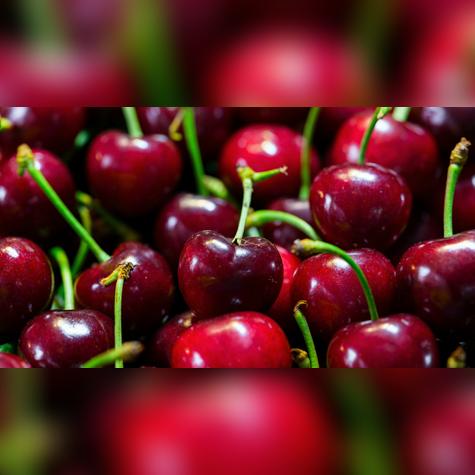 Chile aprovecha las cerezas descartadas de exportación para crear alimentos más saludables. Chile aprovecha las cerezas descartadas de exportación para crear alimentos más saludables.