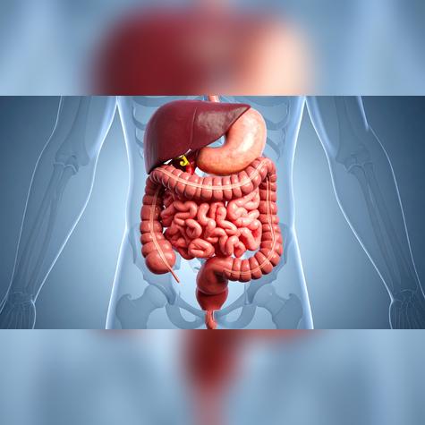 Tu intestino es tu segundo cerebro: el kéfir ayuda a mantenerlo en equilibrio. Tu intestino es tu segundo cerebro: el kéfir ayuda a mantenerlo en equilibrio.