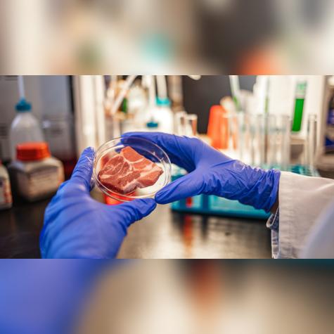 Combate diversas bacterias, combinando diferentes virus en el parche. Combate diversas bacterias, combinando diferentes virus en el parche.