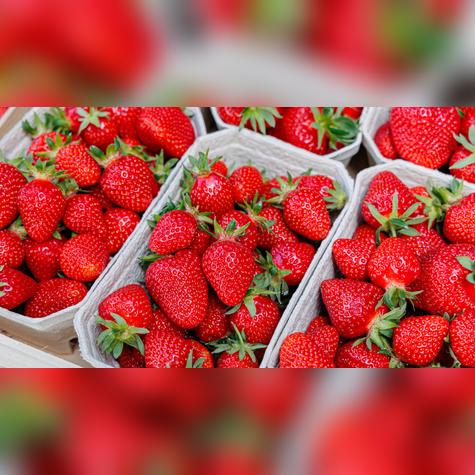 Vinagre y agua es todo lo que necesitas.   