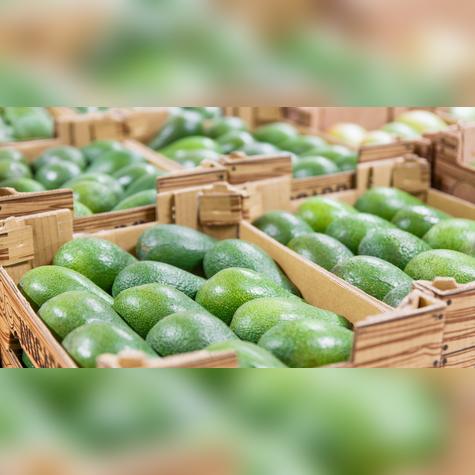 Se producen en la costa peruana.   