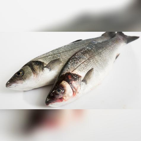 Mantener la cadena de frío es clave para evitar riesgos en preparaciones crudas.   