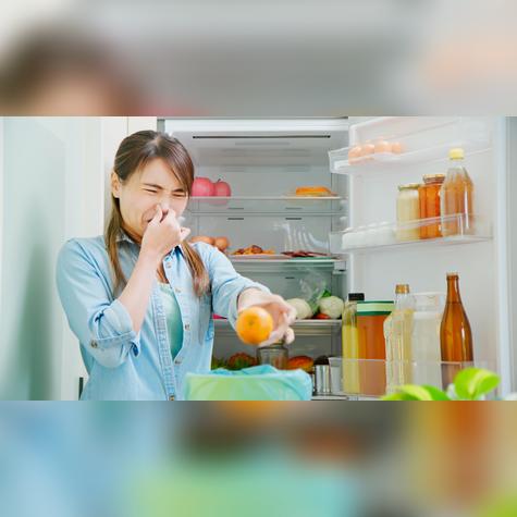 Una esponja seca puede evitar moho y malos olores en la refrigeradora.