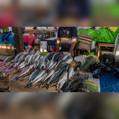  El pescado tiene un valor de S/ 10.   