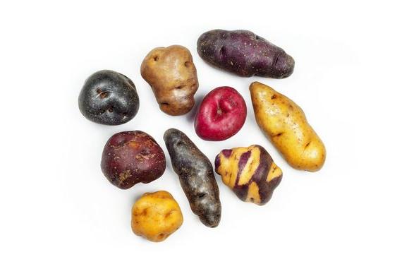 El consumo de papa nativa ha crecido mucho en los últimos años. Son nutritivas y muy sabrosas.    