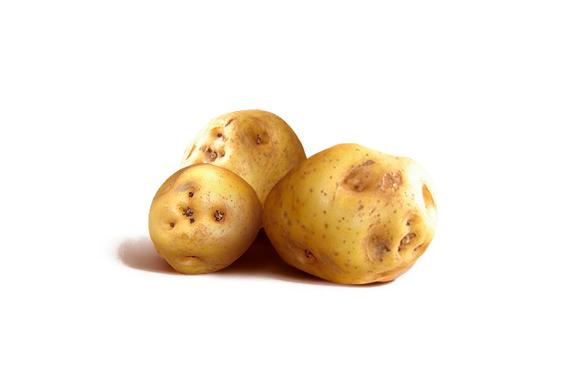 La papa amarilla es la preferida de las mesas peruanas y la mejor para la causa y el estofado.   