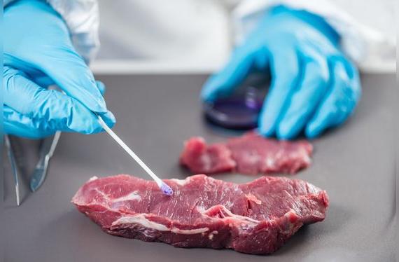 La carne se puede contaminar en los lugares de beneficio o en su manipulación en cocina.    