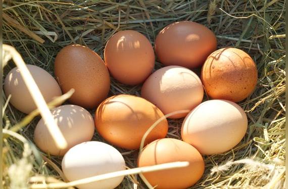 Los huevos de corral no son homogéneos; algunos llegan sucios, pero son un excelente producto.   